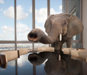 Elephant standing in conference room in office